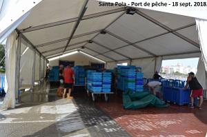 11 SANTA POLA PORT DE PECHE (46)